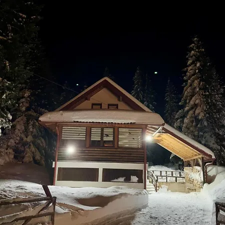 Winter Tt